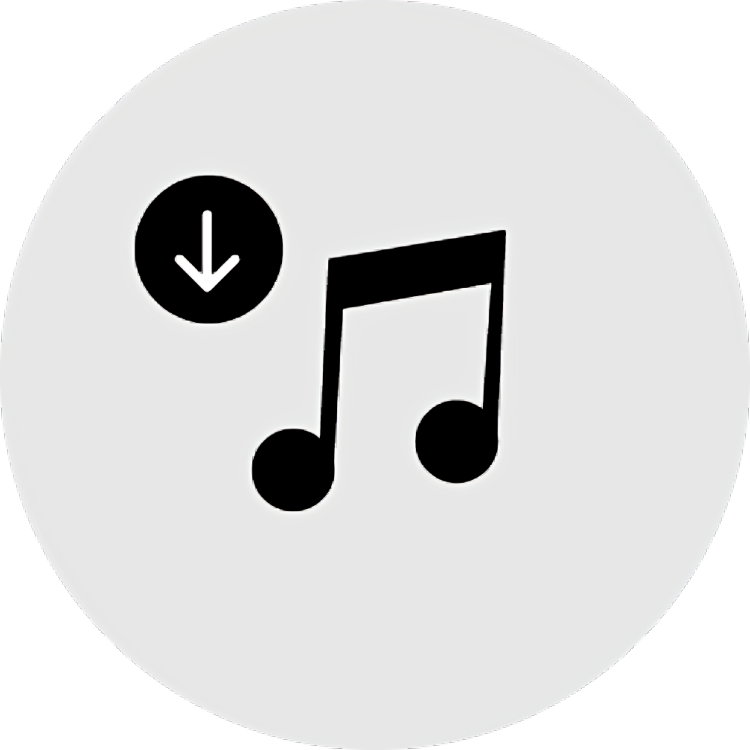 Music player icon